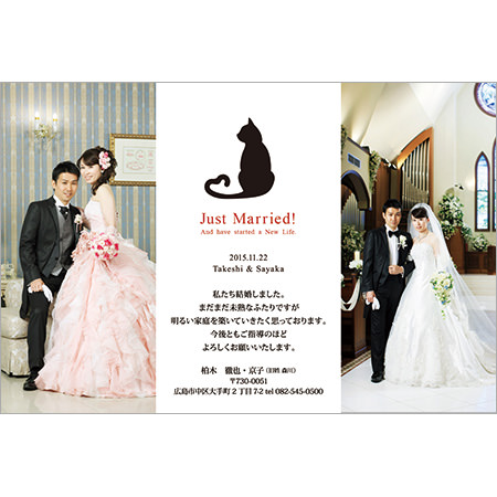結婚報告はがき Wp A05 キャット猫 50部 結婚式アイテムの通販 ファルベ 公式