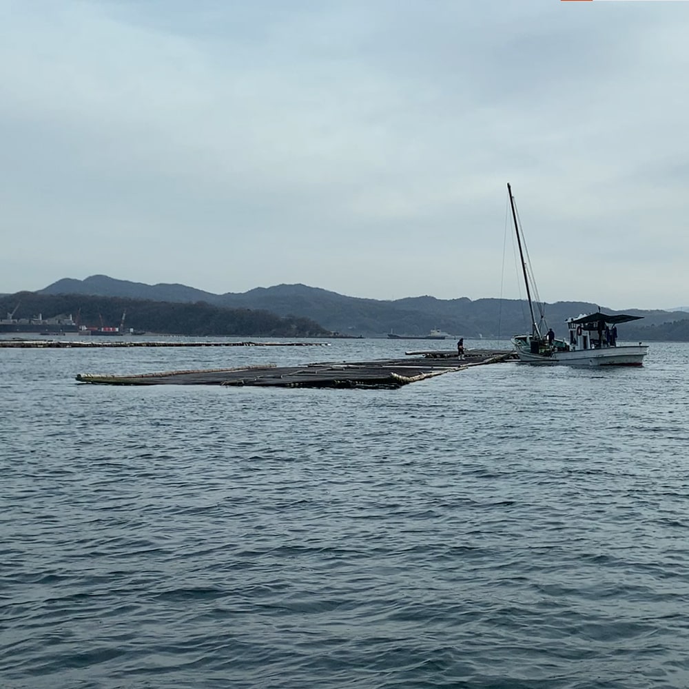 大黒神島の牡蠣筏