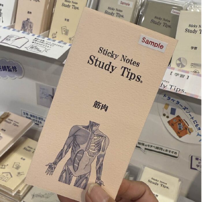 文具女子博2025参考